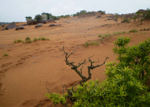 11.07.05_Mouzar Benedito_Contra a exportação de soja
