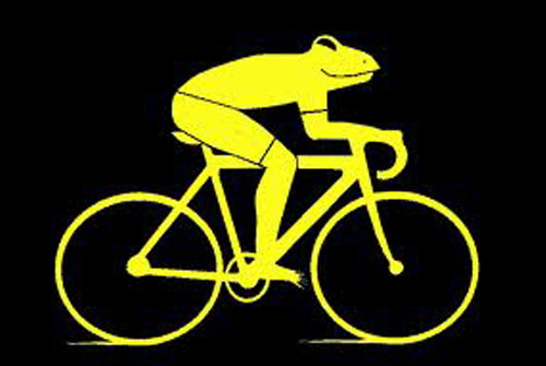 12.08.24_Luiz Bernardo Pericás_O sapo Gonzalo em Bicicleta, orelha1