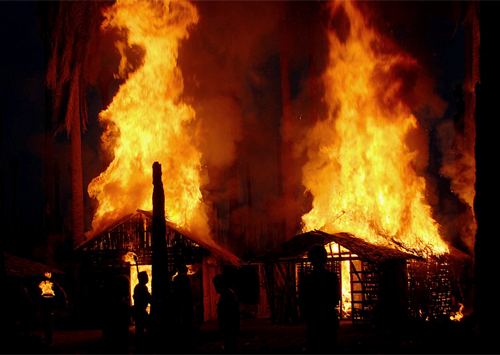 12.09.18_Slavoj Zizek_Welcome to the Spiritual Kingdom of Animals2