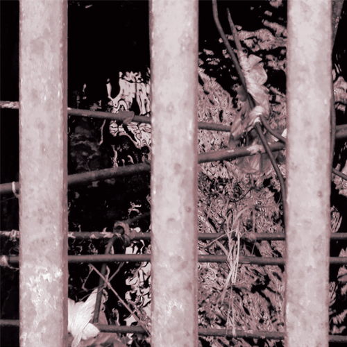 Poder e desaparecimento Capa Final.indd